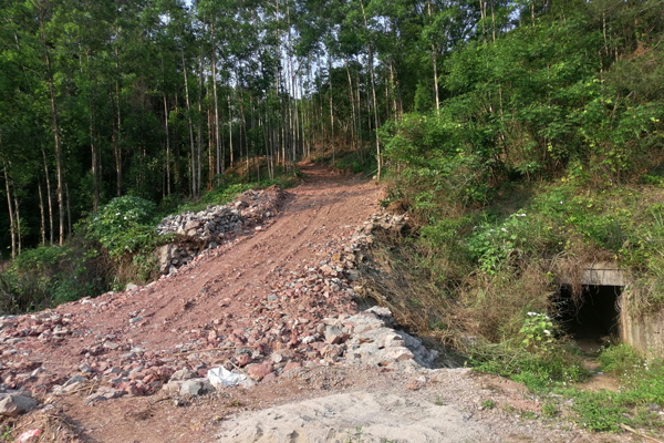施工前。廖木連攝