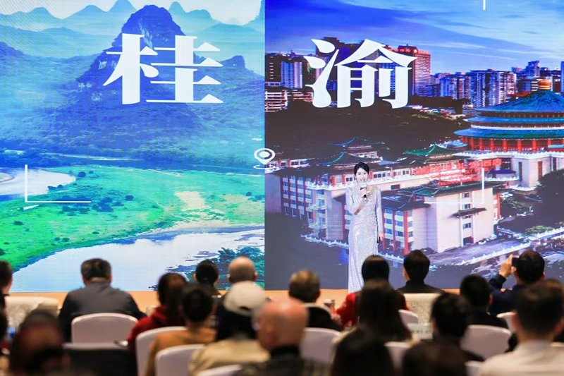 推介现场。主办方供图