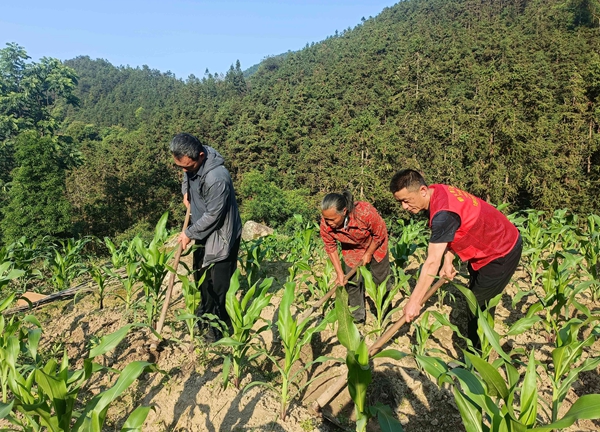 在富川縣朝東鎮石林村，中國電信派駐的第一書記羅光富協助村裡老人干農活