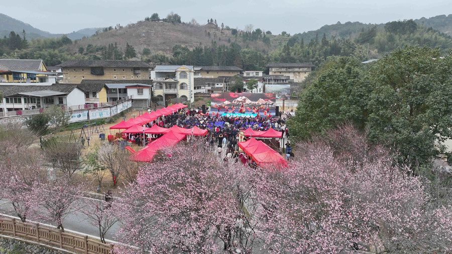 闽台（南靖）梅花文化交流活动暨2026年南靖县“三下乡”集中服务活动在南靖县梅林镇举办。