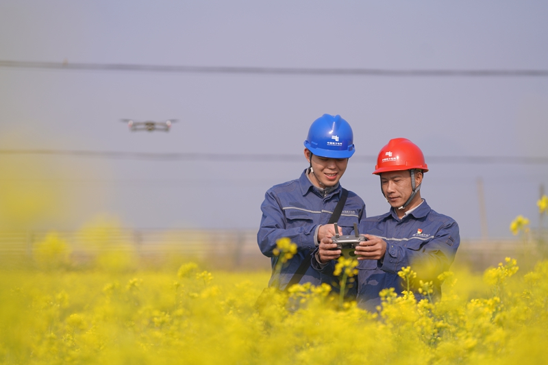 柳州柳城供電局組織工作人員使用無人機進行線路巡視。馬聰攝