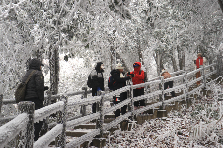 游客在冰雪栈道上打卡拍照，欣赏雪景。