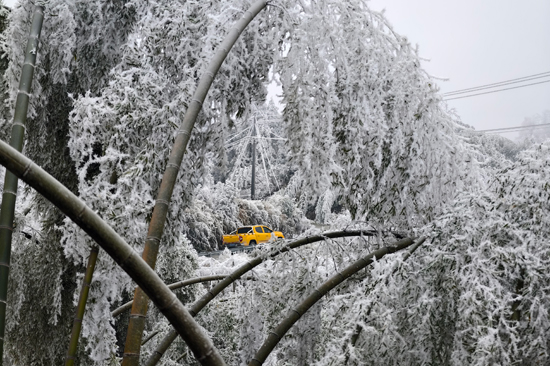 1月22日，南方电网广西新电力集团龙胜供电公司组织工作人员对大坪江10千伏线路开展特巡工作，确保电网安全稳定运行。韦祎摄
