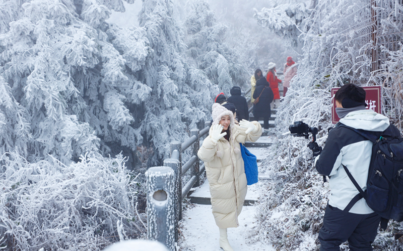 广西资源县隘门界雾凇漫山如画 冰雪幻境引客来