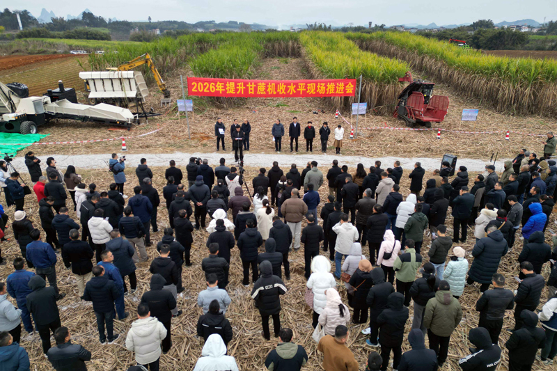 2026年提升甘蔗機收水平現場推進會。
