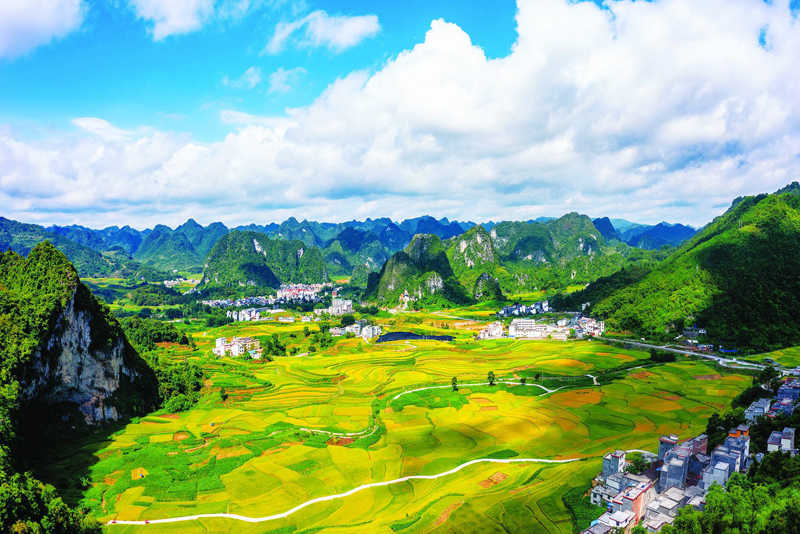 東蘭縣泗孟鄉金色田園。