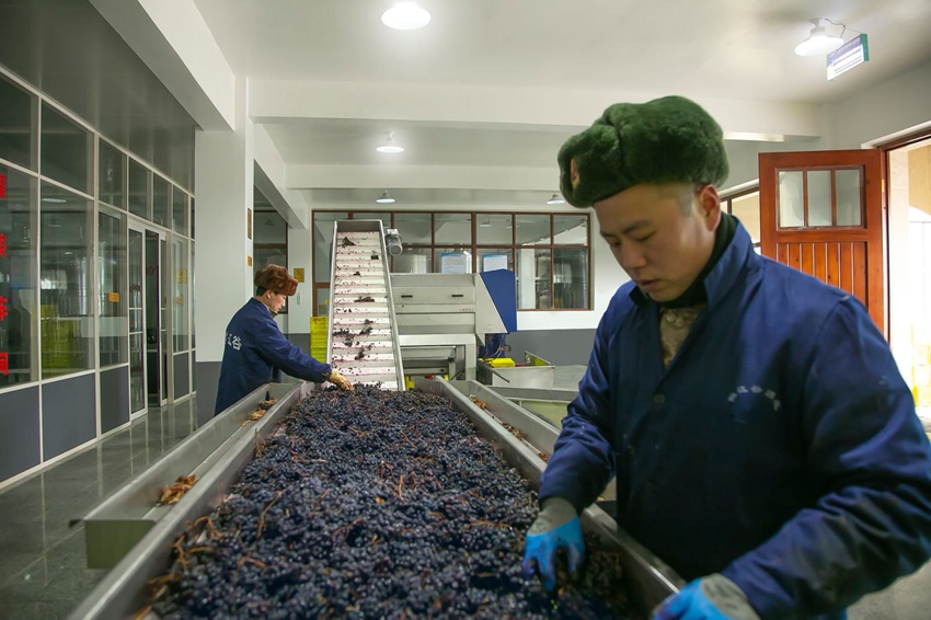 配备全自动控温系统的发酵罐