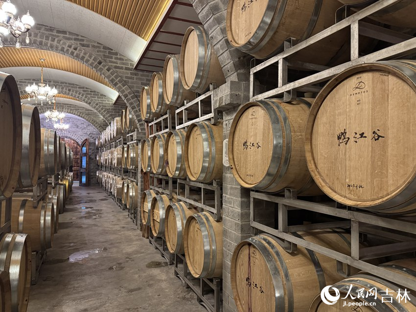 鸭江谷酒庄的地下酒窖内，一排排橡木桶中存储着醇厚佳酿