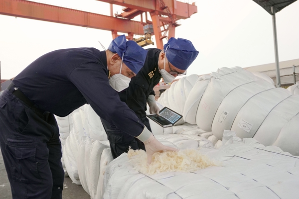 贵港海关工作人员在对羽毛进行查验 ，莫淑媛摄