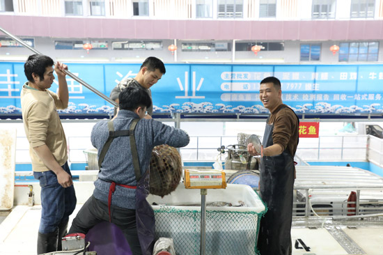 商户在打包装车活鱼。侯呈志摄