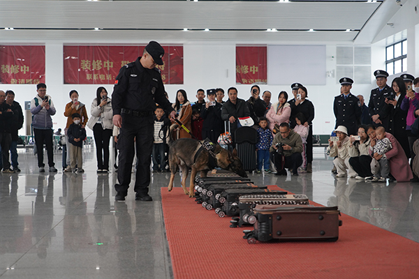 民警帶領緝毒犬向旅客進行工作演示。陳大鵬攝