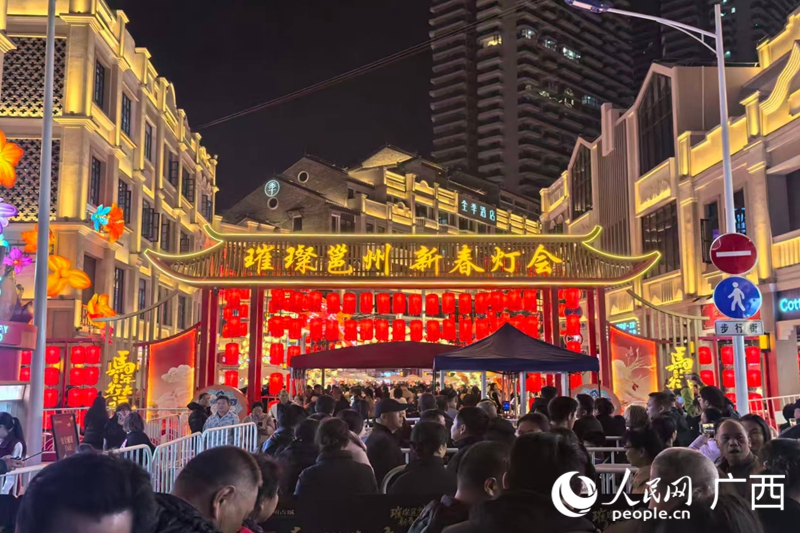 灯会现场人山人海。人民网 庞惠文摄