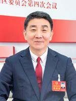 王琛廣西人大代表、玉林市委書記因地制宜培育富有玉林特色的新質生產力