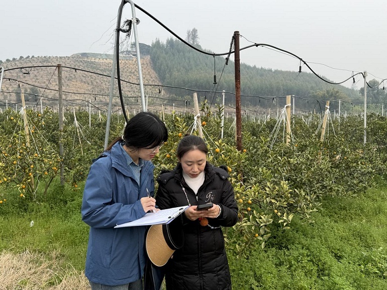 审计人员在结合卫星地图测量结果开展实地探勘
