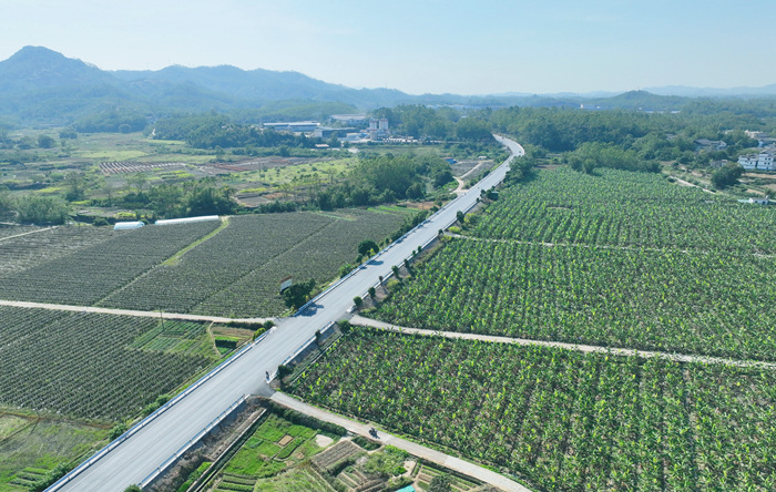 省道206線平山至陸落段公路改建工程玉林市陸川縣烏石鎮路段。黃紅梅攝