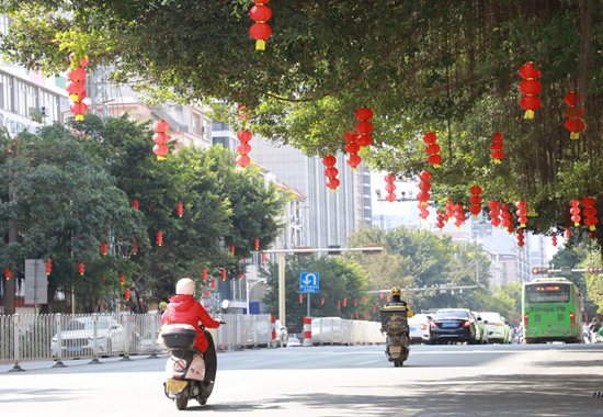 在藤州大道，道路两旁行道树上挂满红灯笼。