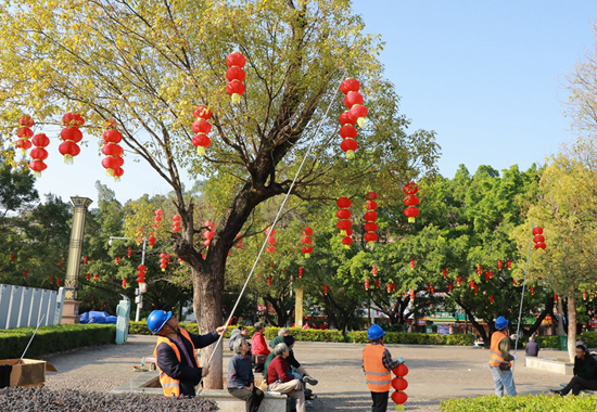 在藤州文化广场，工作人员把灯笼挂到绿化树上。