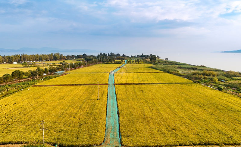 兴业银行昆明分行支持福保半岛文旅项目建设。