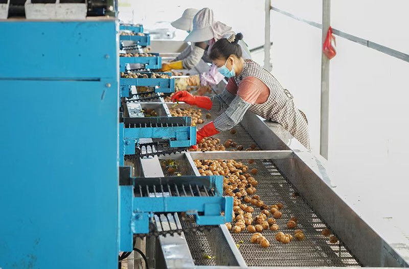 兴业银行昆明分行为云南坚果产业注入金融力量。
