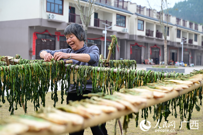 居民正在晾晒頭菜,為春節做准備。人民網記者 雷琦竣攝