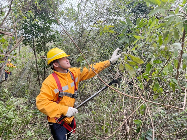 职工进行清理杂灌作业。莫毅摄