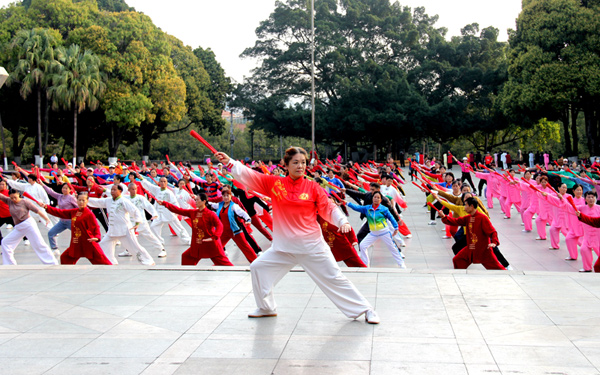 右江区老年人体育协会在森林公园举办太极拳、功夫扇骨干培训班。
