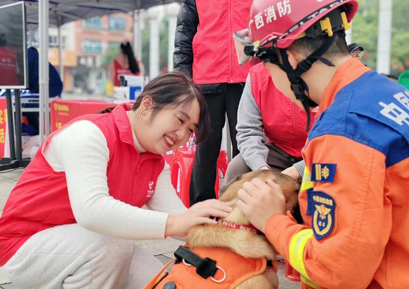 搜救犬登场。罗帮勇摄