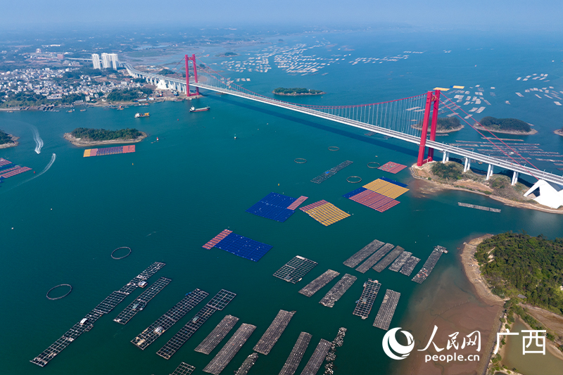 龍門大橋如一條巨龍躍海而出。人民網記者 雷琦竣攝