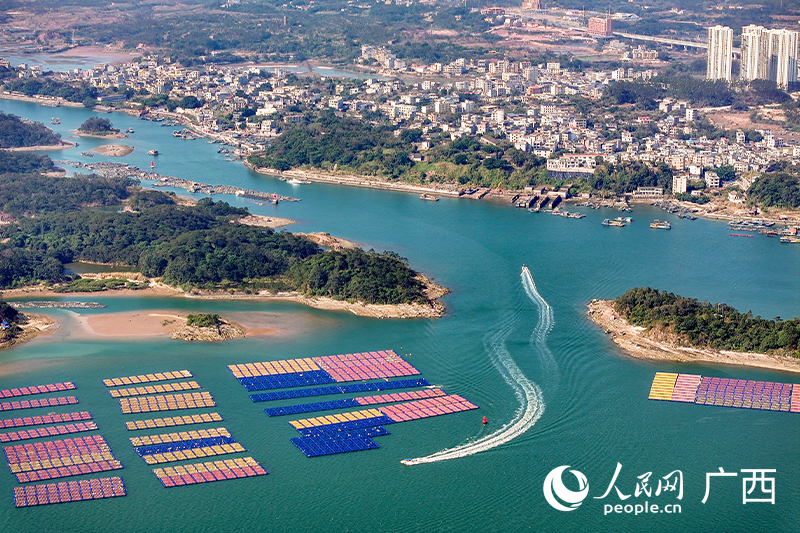 船隻往來於海上蚝排之間。人民網記者 雷琦竣攝