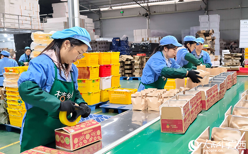 一箱箱融安金桔即將進入年貨市場。