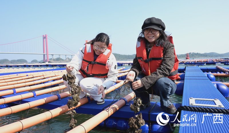 拎起沉甸甸的生蚝。人民網記者 雷琦竣攝