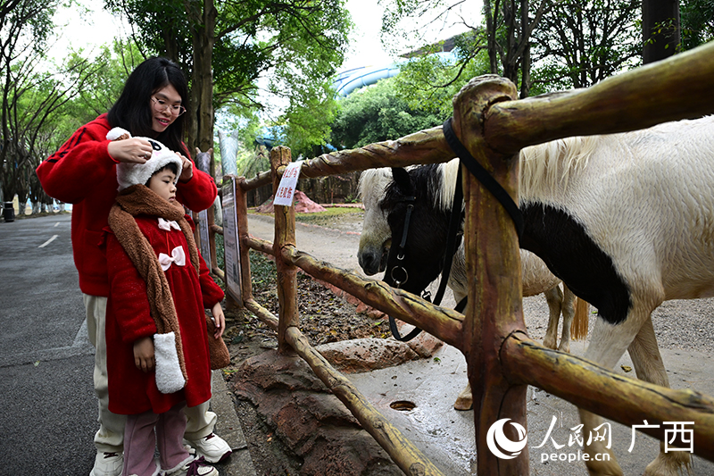 南寧市動物園開展 “馬年” 主題活動。人民網記者 雷琦竣攝