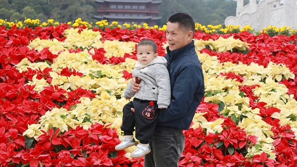 市民正在赏花。