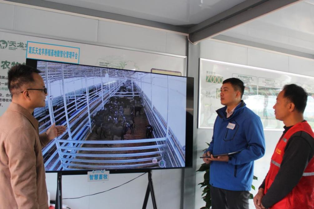 “智慧中坡”数字村务平台正式投入使用。李焱钰摄