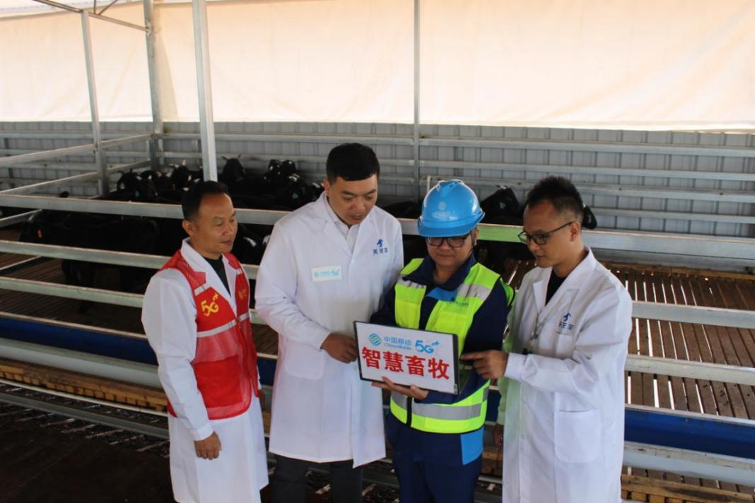 移动技术人员在养殖场测试平台网络。李焱钰摄