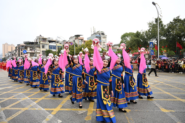 绣球展示。邓秋婷摄