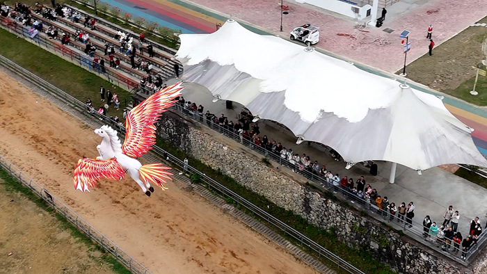 “天马行空”特技表演。广西德保希望田野文化旅游有限公司营销部供图_副本