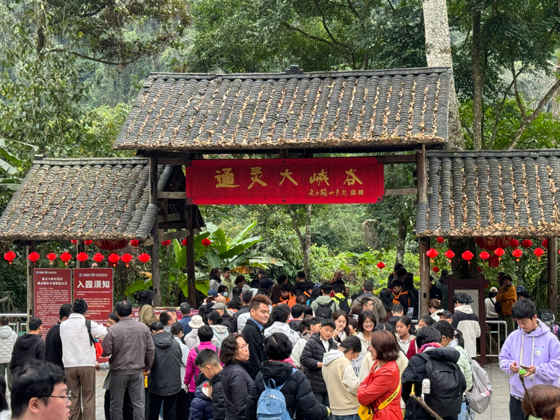 百色通灵古龙山大峡谷景区在假期期间累计接待游客量、营收量,同比增幅均超60%。广旅文旅股份公司供图