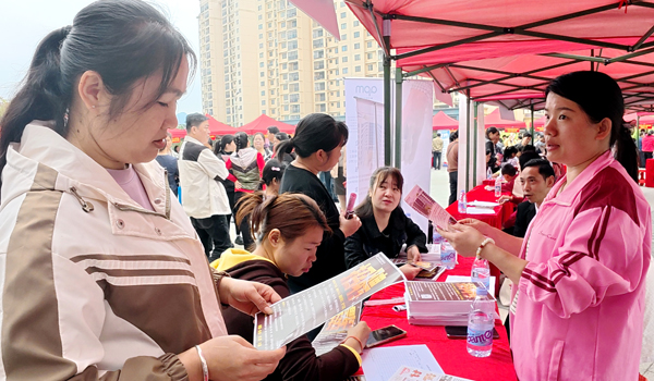向求職者介紹企業薪資情況。
