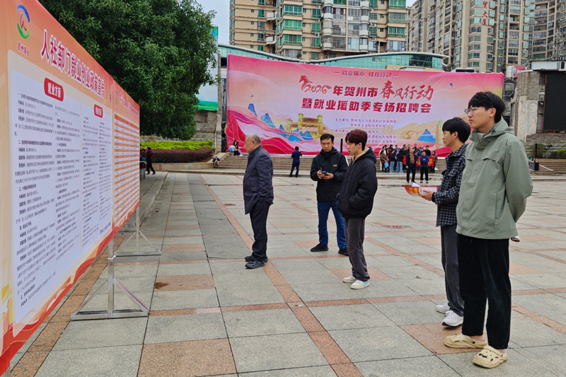 招聘現場不少求職者正在查看崗位展板。盤姝吚攝