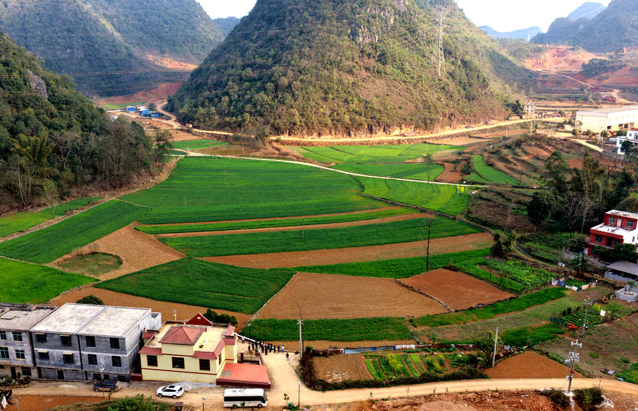 马隘镇马牌村冬小麦种植基地。李青山摄