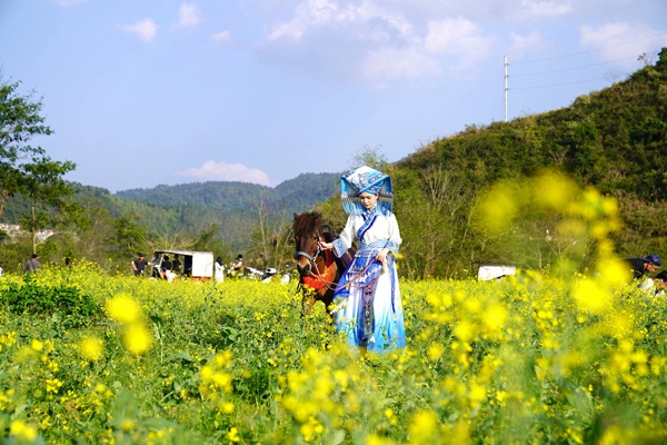 走马观花赏春光，矮马IP助文旅。黄丽电摄