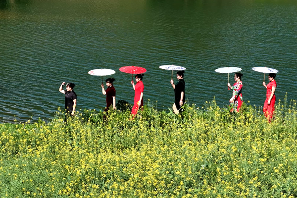 油菜花海，古韵与田园相映成画。邓黄麟摄