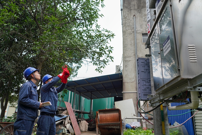 柳州柳城供电局党员服务队协助企业排查用电安全隐患。蒙玉彬摄