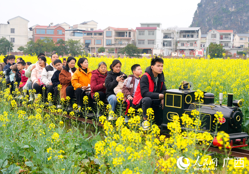 游客正在坐小火车欣赏油菜花。人民网记者 王勇摄