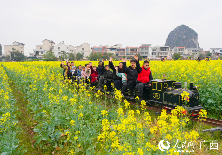 游客正在坐小火车欣赏油菜花。人民网记者 王勇摄