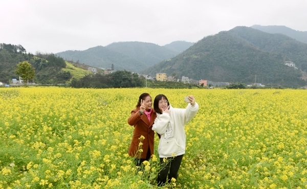 游客在花海中拍照。黃燕群攝