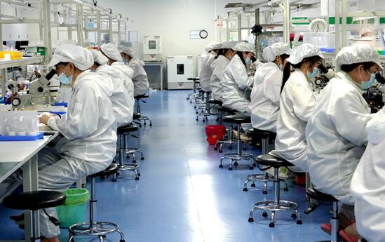 灌阳：不负春光抓复工 凝心聚力促发展