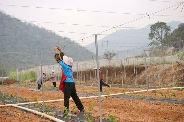 基地裡一片忙碌景象。熊英秀攝