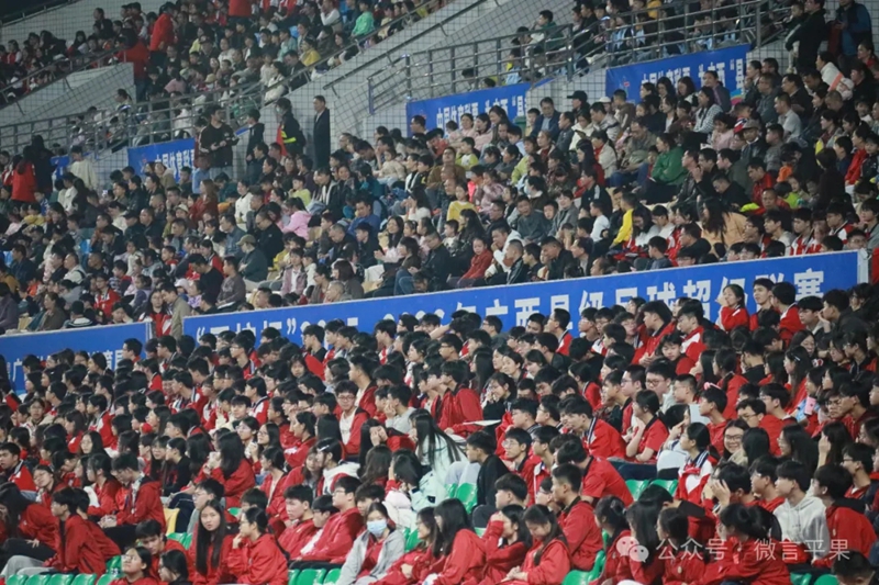比赛现场，球迷为球员欢呼呐喊。主办方供图